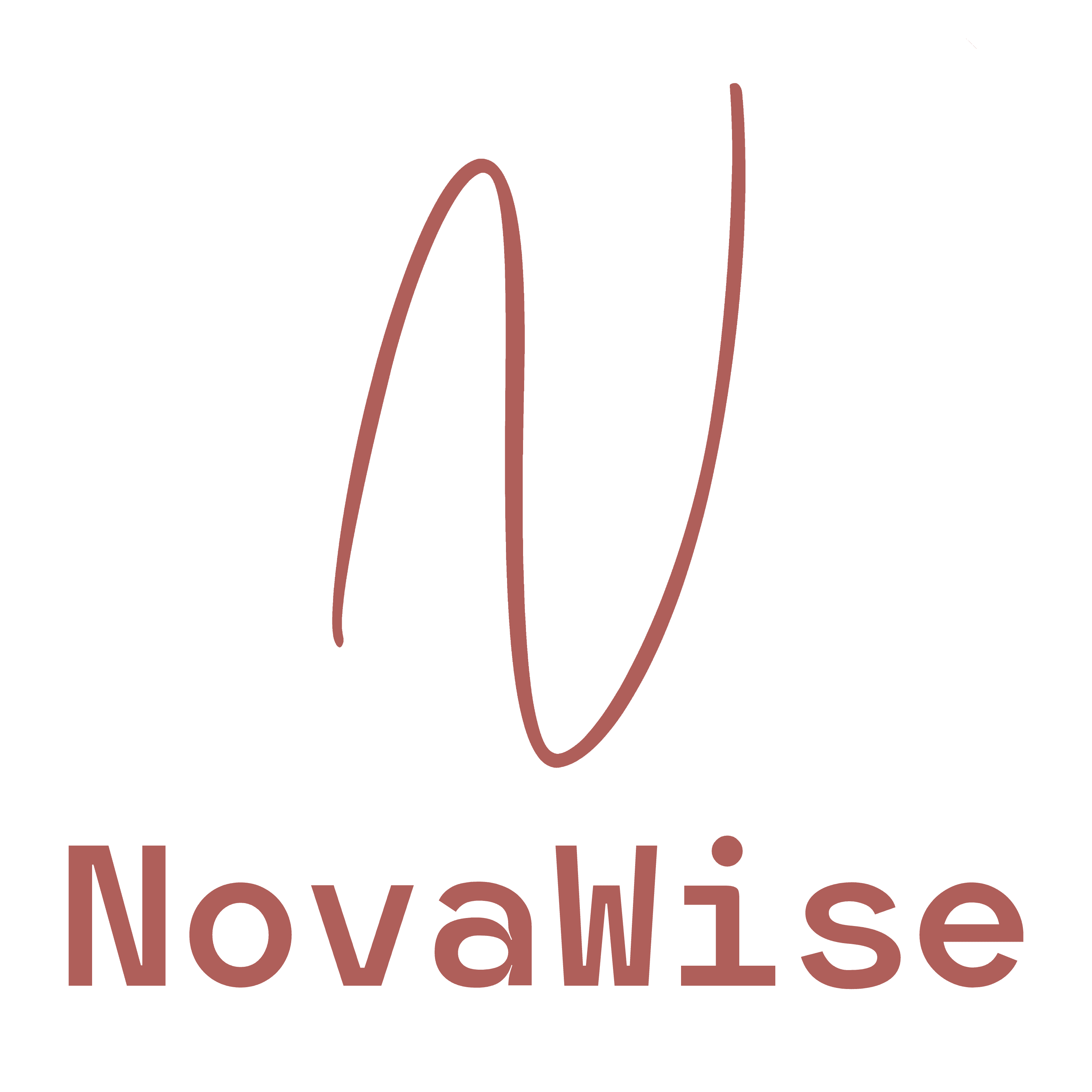 Logo NovaWise